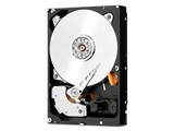 WD6003FFBX [6TB SATA600 7200] JAN: