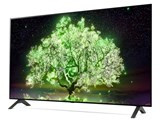 OLED48A1PJA [48インチ] JAN:4989027019133