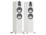 Gold 500 6G GOLD 500 6G SW [Sati White ペア] JAN: