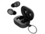 REWIND [BLACK] JAN: