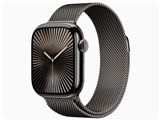 Apple Watch Series 10 GPS+Cellularモデル 42mm MX053J/A [スレートチタニウムケース・スレートミラネーゼループ] JAN:4549995501575