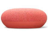 Google Nest Mini [Coral] JAN: