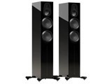 Gold 300 6G GOLD 300 6G HGBK [High-Gloss Black ペア] JAN:5060565778900