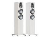 Gold 300 6G GOLD 300 6G SW [Sati White ペア] JAN:5060565778917